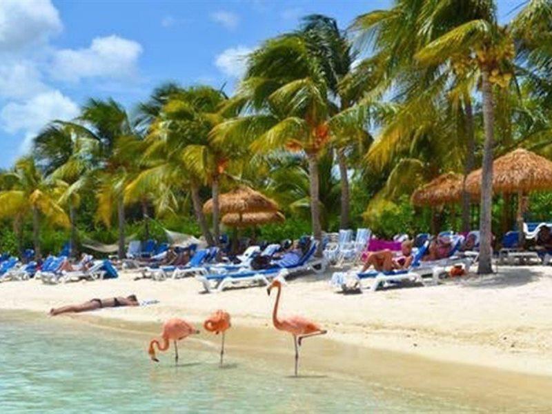 Aruba Blue Village Hotel And Apartments شاطئ بالم المظهر الخارجي الصورة